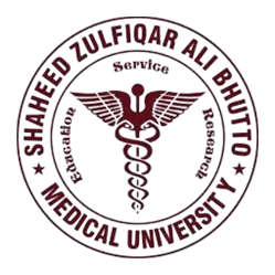 Certified Logo 9